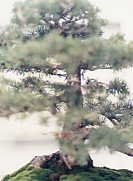 黄色软件免费下载3.0.3每天无限次vivo版破大全视频：揭秘“黄色软件免费下载”：隐藏隐患下的网络安全警示-3