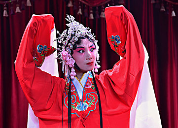 9分10秒头撞玻璃：女子商场头部撞击玻璃9分10秒，引发社会关注，公共场所安全警钟长鸣