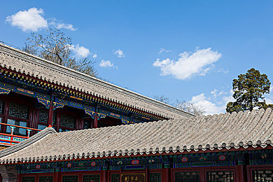 av成人：揭秘中国AV产业隐忧：监管挑战与青少年危害并存，共筑清朗网络环境-2