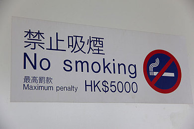 粉嫩虎白女馒头：“粉嫩虎白馒头奇遇记：传统与创新的美味之旅”-3