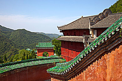 免费网站W.W.W正能量app：阳光能量宝库，心灵之旅启航-1