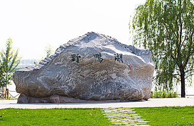 月神直播：网络直播新星月神：互动知识盛宴，引领网红新篇章-1