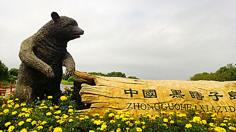 张柏芝用嘴帮陈冠希：“柏芝力挺冠希，娱乐圈佳话再续，真挚友情温暖人心”-3
