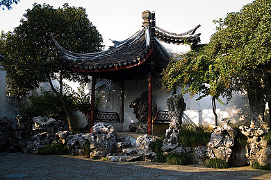 老王头的幸福晚年宋雨蝶：智能陪伴，夕阳添彩，宋雨蝶助力幸福晚年之旅