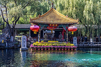 黄色软件。：网络守护者,抵御黄色软件的终极挑战