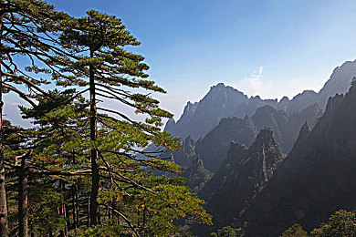 综合色情：净化网络，守护青春，共筑清朗空间-2