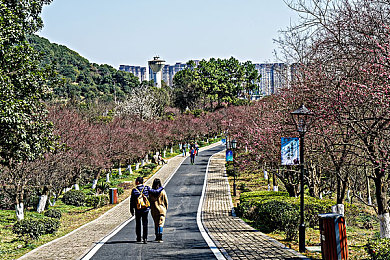 浙江富婆sPA按摩高潮：浙江奢享SPA，富媛身心盛宴-3