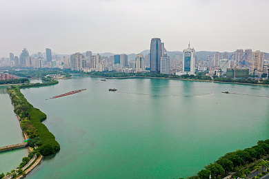 免费的黄色软件：网络陷阱揭秘：揭秘“免费”黄色软件背后的隐私危机-3