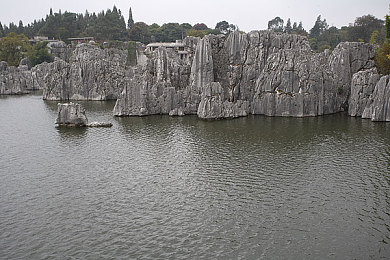 免费网站W.W.W正能量app：阳光能量宝库，心灵之旅启航-3