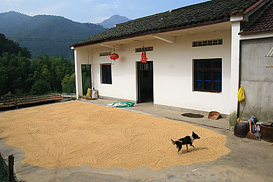 福建兄妹赵小贝小表妹：逆境兄妹情，共筑温馨梦-1