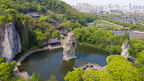 草莓丝瓜芭乐绿巨人樱桃秋葵粉色2023：粉红盛宴：果蔬界的爱情使者与健康宠儿-2