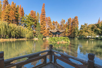 妞干网免费视频：娱乐盛宴，妞干网带你畅游视听世界-2