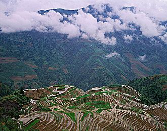 老师在教室露乳给我吃：奶爸育儿温馨之旅，教室温馨冒险记-2