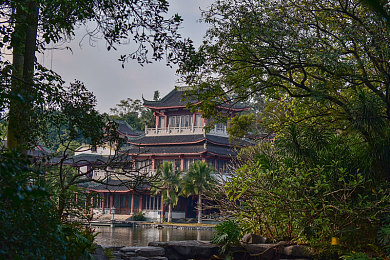 夜魅直播：夜魅直播潮涌，青春影响与行业未来展望-1