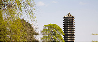国产麻豆：时尚潮流领航者：国产麻豆风云录-2
