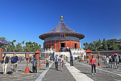 大象2024回家三秒跳：奇迹跃动，2024大象三秒归家之旅-1