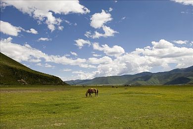 扒开动漫 狂揉 羞羞软件：动漫净土，守护青春防线-2