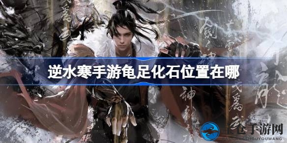 逆水寒手游新版本揭秘：探索神秘坐标，解锁龟足化石成就攻略