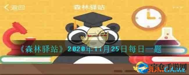 《森林驿站》2020年11月25日每日一题