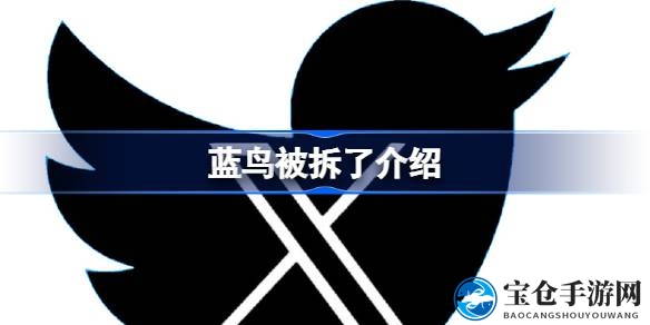 马斯克推特大变身：蓝鸟招牌消失，神秘“X”标志引关注！