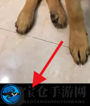 《抖音》清屏播放视频方法