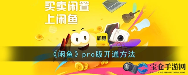 闲鱼Pro版揭秘：解锁海量功能，轻松晋升高端玩家
