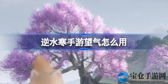 逆水寒手游探秘：望气技能全攻略，解锁探险新篇章